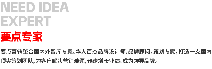 要点专家