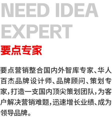 要点专家